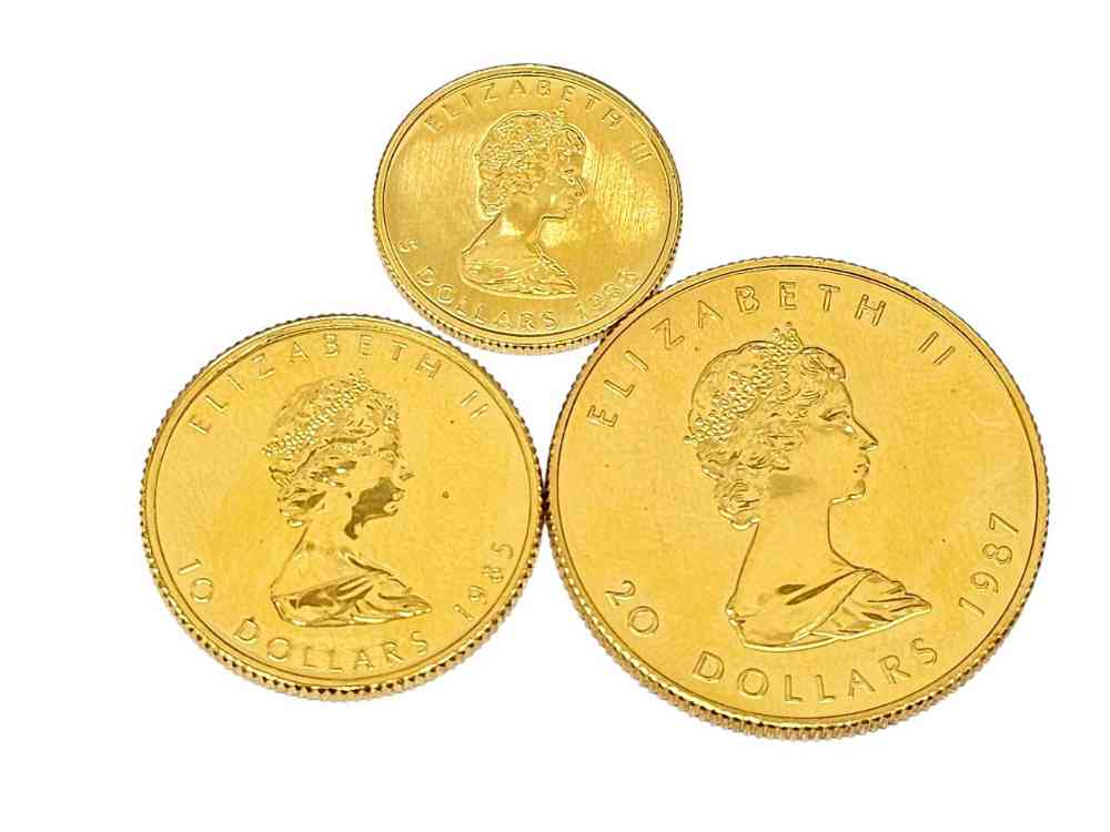 メイプルリーフ金貨3種 表面